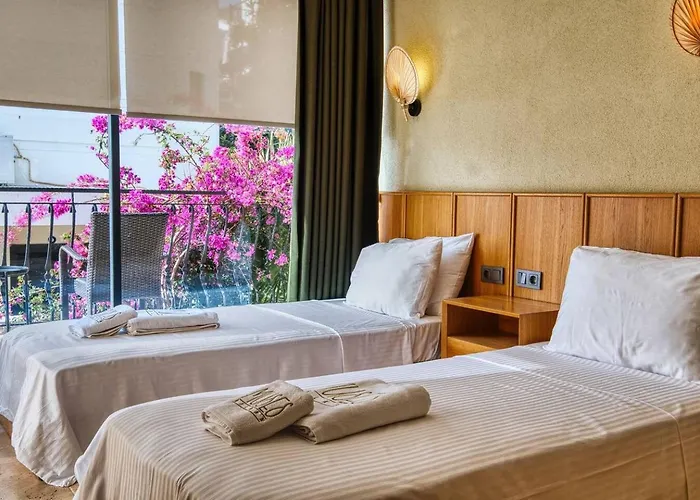 فيلة Captivating Casa La Calypso كاس